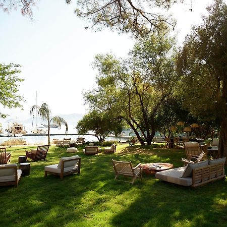 Yazz Collective Hotel Belen  Kültér fotó